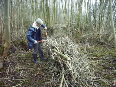 Rillen zorgen voor nestgelegenheid en snellere verrotting